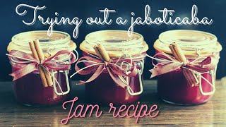 Trying out a Jaboticaba jam recipe [upl. by Nnayt638]