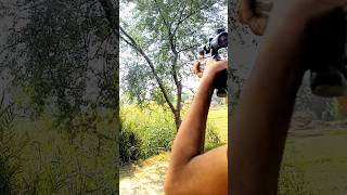 Airgun shot video shikar shikaar shikar shikari airgun [upl. by Franci]