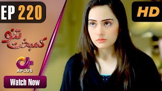 Drama  Kambakht Tanno  EP 220  Aplus  Tanvir Jamal Sadaf Ashaan  C2U1 [upl. by Rockwell]