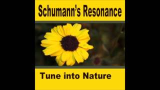 1 hr Schumanns Resonance Binaural Beats Session  Pure [upl. by Tlevesor]