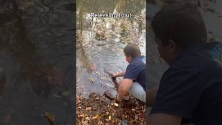 Trout Vs Bluegill fishing fish youtubeshorts subscribe trout [upl. by Bohs]