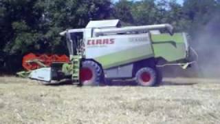 MTZ 820IFA HL 9002 Zetor 7340IFA HW 6011 Claas Lexion 420 [upl. by Fording51]