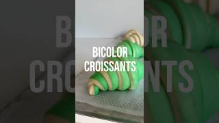 Bicolor croissant  วิธีทำครัวซอง 2 สี ง่ายๆ ครัวซองต์ croissant [upl. by Nomael]