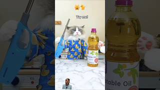 😺Pancake magic with Puff Can he flip the perfect pancake 🤯cat cute 🥞🤤funny 🥞ThatLittlePuff [upl. by Codie]