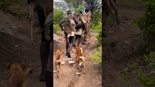 The hunter hunted four baboonshadzabetribe africa wildlife bushlife village [upl. by Ruelle]