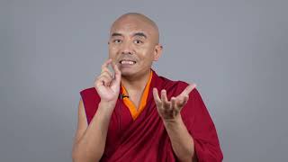 ¿Es necesario un maestro espiritual  Mingyur Rinpoche sub esp [upl. by Ahsak]