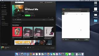 DRmare music Converter for spotify Review [upl. by Lrem]