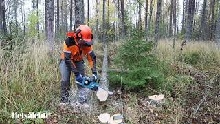 Makita Duc303akkumoottorisaha testissä  Metsälehti [upl. by Newfeld334]