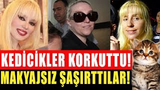 kedicikler korkuttu makyajsız halleri görenleri şaşırttı [upl. by Markos998]