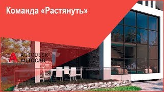 Как растянуть объект в Автокад  Команда AutoCAD quotРастянутьquot [upl. by Nerha]