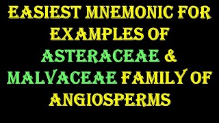 Mnemonic to Remember Examples of Asteraceae amp Malvaceae family of Angiosperm [upl. by Maharva6]