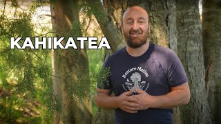 Kahikatea  Quick Chats with Adam  Restore Native [upl. by Vincenty]