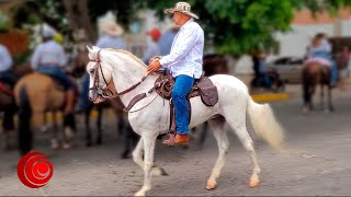 🐎🐴CABALGATA en el Festival Vallenato Valledupar Cesar Colombia 28 de Abril de 2022 🐎🐴 [upl. by Salli]