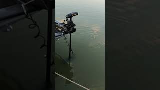 Mounting an external transducer to a Minn Kota Ulterra or Terrova Trolling Motor [upl. by Olemrac]