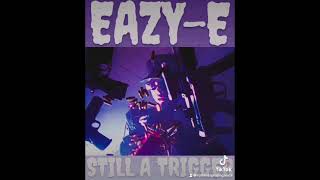 EazyE  Still A Trigger eazye mashup remix bigbonerecords [upl. by Ehtnax]