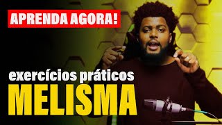 Melisma Sem Segredo  Aprenda A Fazer Melisma [upl. by Gardie738]