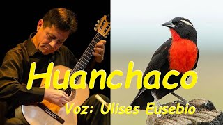 HUANCHACO Letra  Chuscada  Vers Pastorita Huaracina  Voz U Eusebio  Guitarra Javier Molina [upl. by Yelnats356]