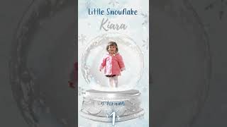 Snowflake Winter Onederland Theme Birthday Digital Video Invitation [upl. by Isa]