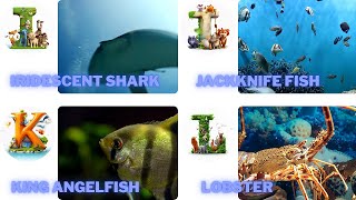 ABC Sea Animals song  Learn Alphabets  English and Animals for Kids  Alphabets Kids Song [upl. by Cuthbert]