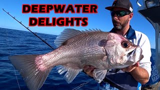 JIGGING amp BAIT FISHING DEEPWATER  PEARL PERCH SNAPPER amp BAR COD OFF BRISBANE AUSTRALIA [upl. by Aloisius542]