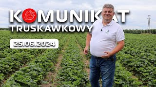 Komunikat truskawkowy  Zbigniew Marek  25062024 [upl. by Ennagrom136]