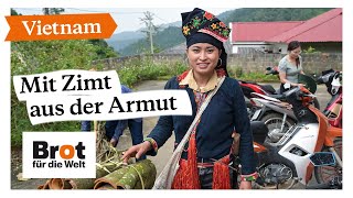 Vietnam Mit Zimt aus der Armut [upl. by Cila]