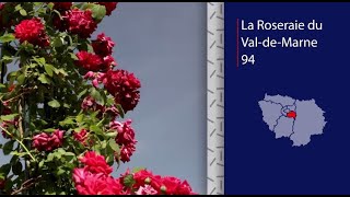 Découvrir la Roseraie du ValdeMarne [upl. by Hsirap]