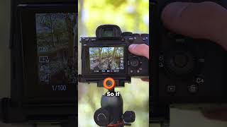 Best Focus Settings for Landscape Photography [upl. by Pliske]