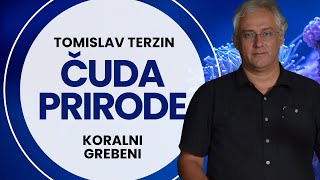 ČUDA PRIRODE 1 Koralni grebeni prof dr Tomislav Terzin [upl. by Eeneg953]