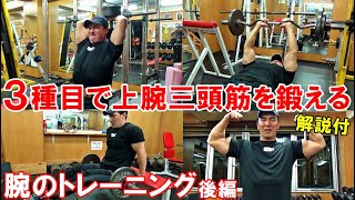 【筋トレ】3種類の刺激で上腕三頭筋を追い込む！POF法で鍛える腕のトレーニング後編【解説付】 [upl. by Annenn]