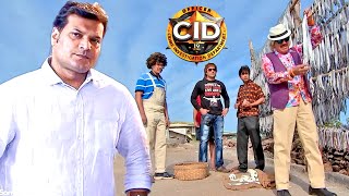 বিষধর মাছের রহস্য উদঘাটন করলেন দিবা  সিআইডি CID  bengali crime series2024 [upl. by Oznofla227]