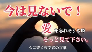 愛することを忘れてませんか？人はなぜ愛するのか？哲学者の言葉 [upl. by Eanahs]