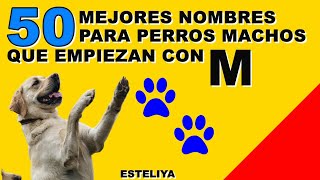 NOMBRES PARA PERROS MACHOS CON M [upl. by Lilaj]