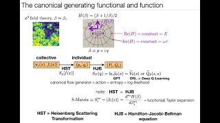 A transformational approach to collective behavior [upl. by Eenaffit]