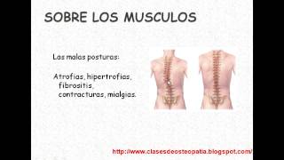 OSTEOPATIA 1FUNDAMENTOS DE OSTEOPATIAmp4 [upl. by Aihsakal]