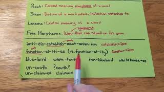 Roots Stems Lexemes and Free Morphemes MiniLesson [upl. by Suzann]