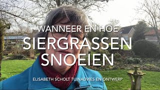 Wanneer en hoe SIERGRASSEN snoeien [upl. by Eecram]