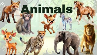 Name of animal । animal cartoon name। । cartoon animal name and enjoy with my son [upl. by Garda]