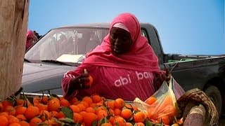 Djerba  Römerdamm  Oase Zarzis  Oliven Ölmühle [upl. by Jezabel]