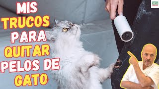 🧶 ¿COMO QUITAR PELOS DE GATO DE LA ROPA 5 TRUCOS EFECTIVOS 🧶 [upl. by Orva]