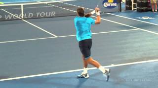 Juan Martin Del Potro  Backhands in Slow Motion [upl. by Gnahk443]