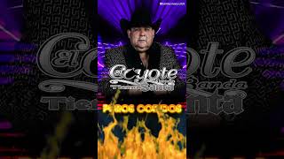 El Coyote y Su Banda Tierra Santa  Te Soñe El Coyote José Angel Ledesma [upl. by Currier]