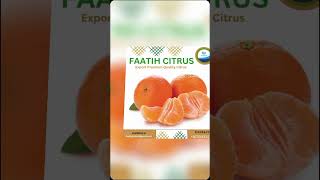 CITRUS SEASON 20242025 FAATIH GLOBAL TRADERS EXPORT FAATIH CITRUS [upl. by Adella]