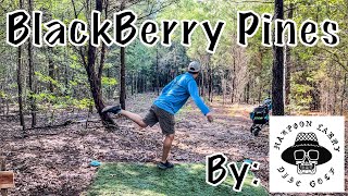 BlackBerry Pines Disc Golf Course by Harpoon Larry [upl. by Holton868]