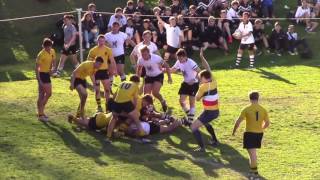 Newington College 1st XV Highlights 2016 [upl. by Diannne]