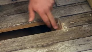 How to Fix and Repair Damaged Deck Boards  Mitre 10 Easy As DIY [upl. by Parik]