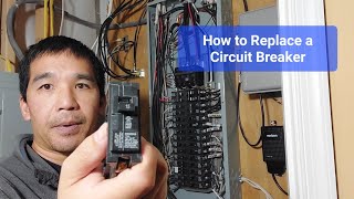 How to Replace a Circuit Breaker [upl. by Sanbo]