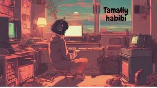 Tamally Habibi lofi  SLOWED  REVERB  ❤️ [upl. by Dahsra]