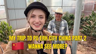 My trip to Pu erh China to see how is organic Tea and Coffee growing PART 2 [upl. by Ynna604]