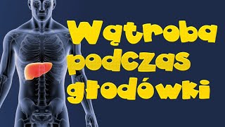 Wątroba a głodówka jak to jest [upl. by Modesta]